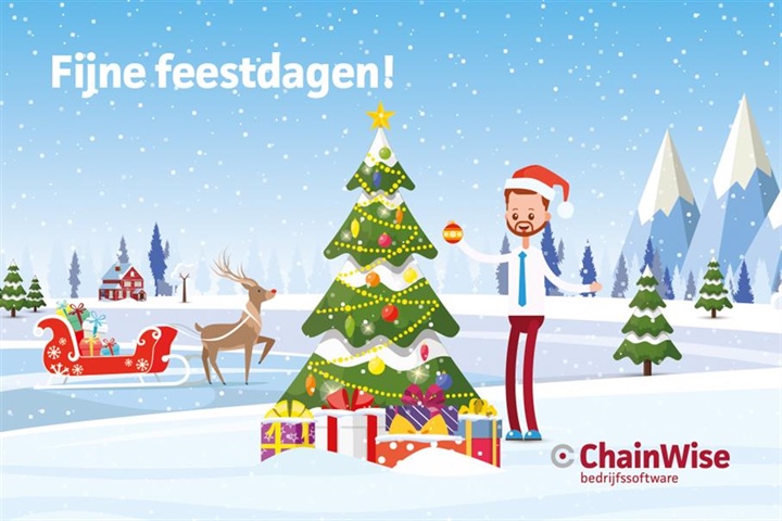 🎄 Bedankt voor een geweldig 2024! 🎄