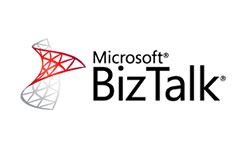 <p>Een koppeling met Microsoft BizTalk Server zorgt ervoor dat verschillende, uiteenlopende IT-systemen, applicaties en bedrijfsprocessen binnen en buiten een organisatie effici&euml;nt met elkaar kunnen communiceren en gegevens uitwisselen. Het fungeert als een centrale 'middleware'-hub die ongelijksoortige systemen aan elkaar verbindt.</p>